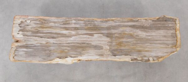 Console table petrified wood 52314