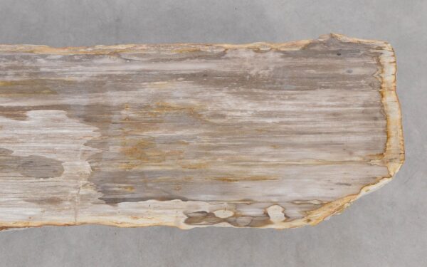 Console table petrified wood 52314