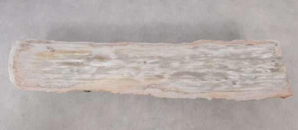 Console table petrified wood 52315