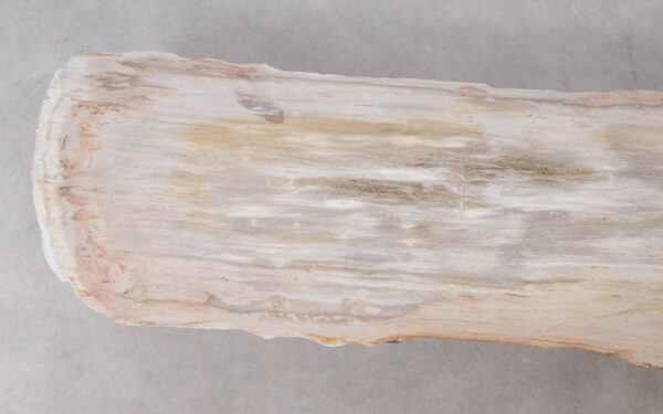 Console table petrified wood 52315