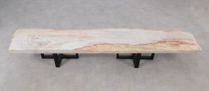 Console table petrified wood 52316