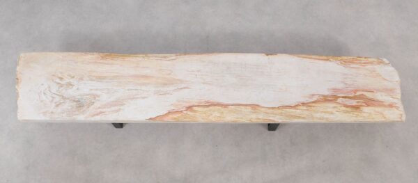 Console table petrified wood 52316