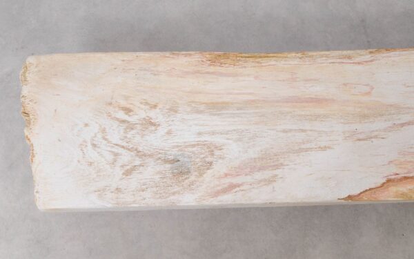 Console table petrified wood 52316