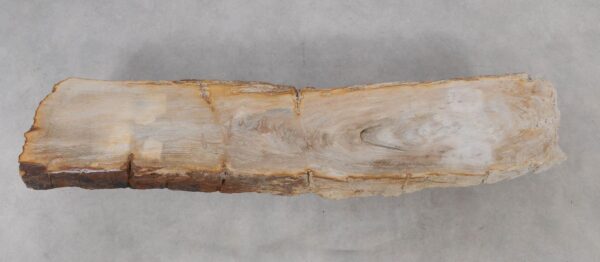 Console table petrified wood 52320