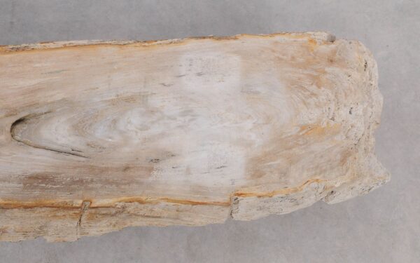 Console table petrified wood 52320