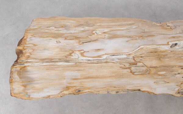 Console table petrified wood 54294