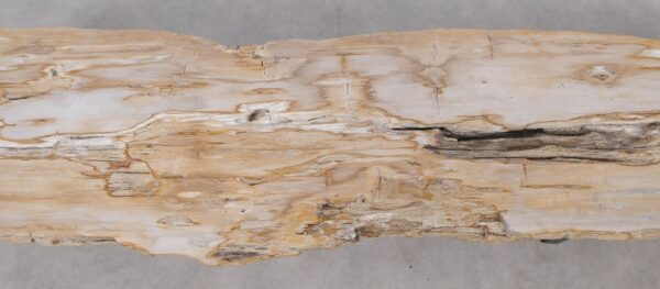 Console table petrified wood 54294