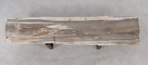 Console table petrified wood 55328