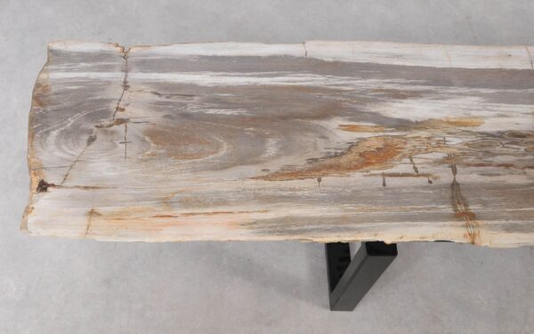 Console table petrified wood 55328