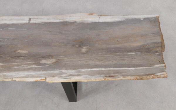 Console table petrified wood 55328