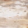 Console table petrified wood 55329