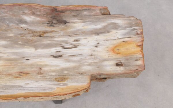 Console table petrified wood 55329