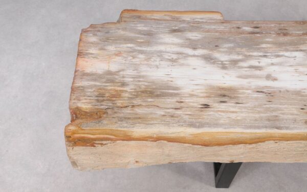 Console table petrified wood 55329