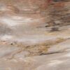 Console table petrified wood 55329