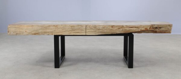 Console table petrified wood 55329