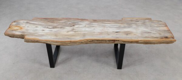 Console table petrified wood 55330