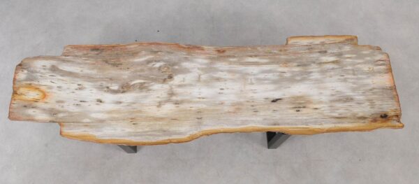 Console table petrified wood 55330