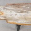 Console table petrified wood 55330