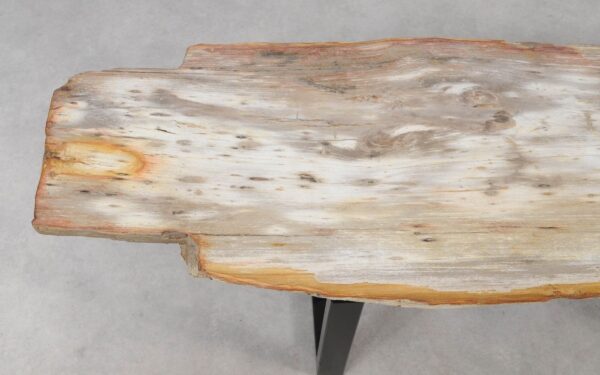 Console table petrified wood 55330