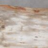 Console table petrified wood 55330