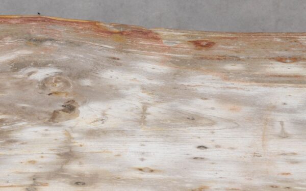 Console table petrified wood 55330