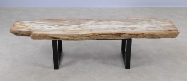 Console table petrified wood 55330