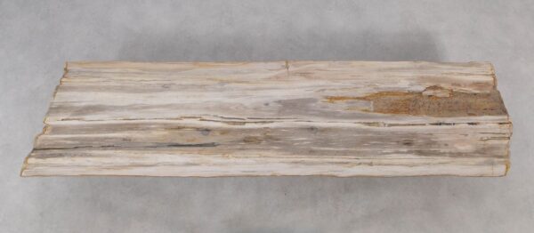 Console table petrified wood 55331