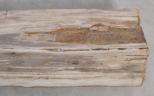 Console table petrified wood 55331