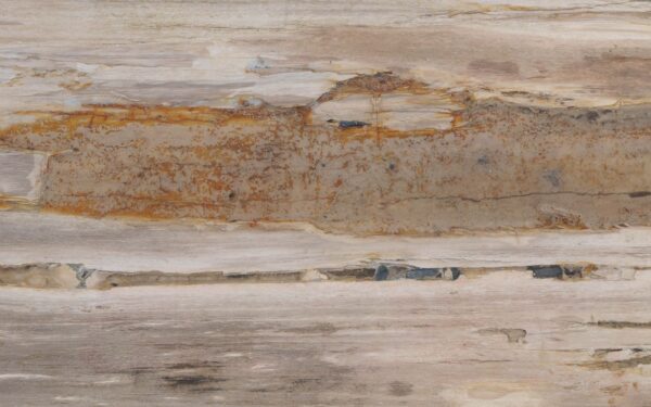 Console table petrified wood 55331