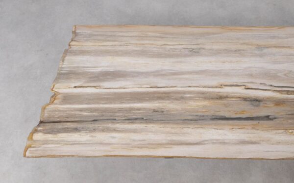 Console table petrified wood 55331