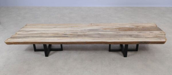 Console table petrified wood 55331