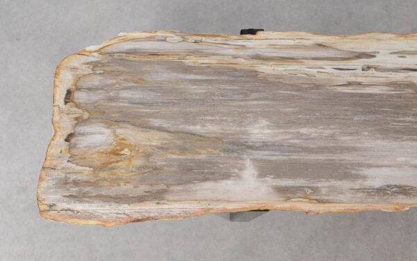 Console table petrified wood 55500