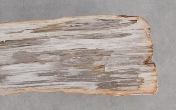 Console table petrified wood 55500