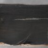Consoletafel versteend hout 54229