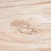Consoletafel versteend hout 54234