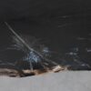 Consoletafel versteend hout 54268