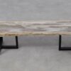 Consoletafel versteend hout 55500