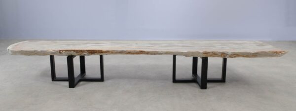 Table console bois pétrifié 52315