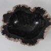 Schaal versteend hout 51336