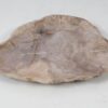 Bord versteend hout 56025