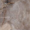 Bord versteend hout 56025