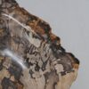Schaal versteend hout 56287