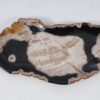 Bord versteend hout 57326