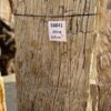 Grabstein versteinertes Holz 56041