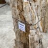 Grabstein versteinertes Holz 56046
