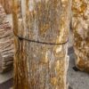 Grabstein versteinertes Holz 56046