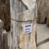 Grabstein versteinertes Holz 56051