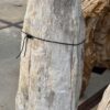 Grabstein versteinertes Holz 56051