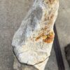 Grabstein versteinertes Holz 56051