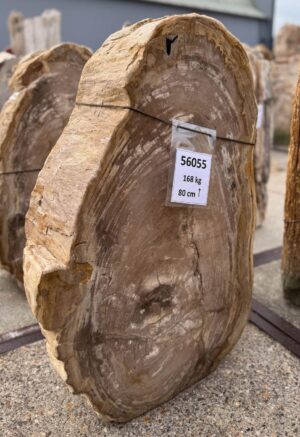 Grabstein versteinertes Holz 56055